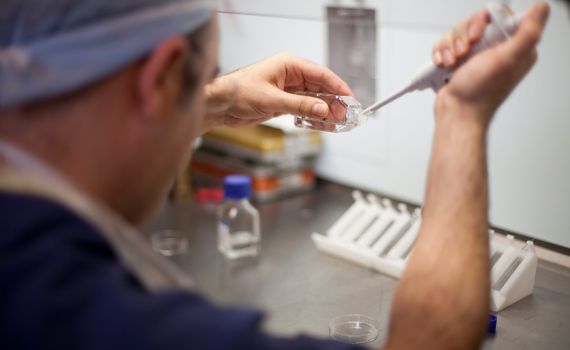 הבדיקה גילתה: הזוג שטען לקשר גנטי – לא הורי העובר