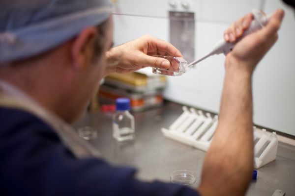 הבדיקה גילתה: הזוג שטען לקשר גנטי – לא הורי העובר