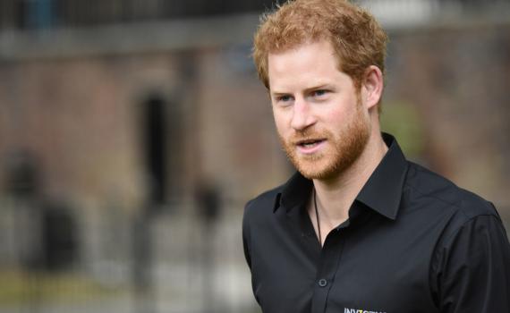 הנסיך הארי: יש לנו 3 כלבים, הם נותנים לנו תמיכה רגשית