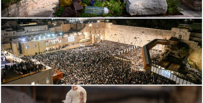 Atonement, forgiveness and remembrance: preparing for Yom Kippur in pictures