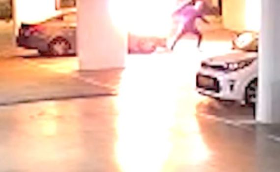 רחובות: נעצר חשוד שהצית את רכבה של גרושתו. צפו