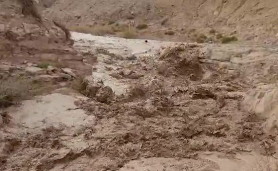 מרהיב ומפחיד | תוך שניות: כך נראה שטפון בזק. צפו