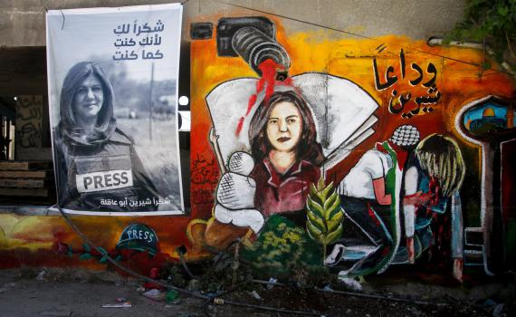 ישראל חוששת ממקרה אלאור עזריה 2