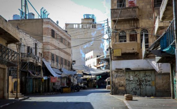 "מקרה מזעזע": ראש עיריית חברון קרא להרוג כלבים