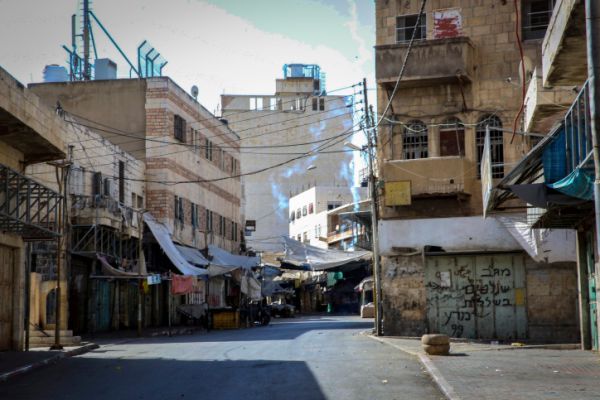 "מקרה מזעזע": ראש עיריית חברון קרא להרוג כלבים