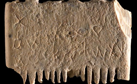 נגד כינים: התגלה המשפט הקדום ביותר שנכתב