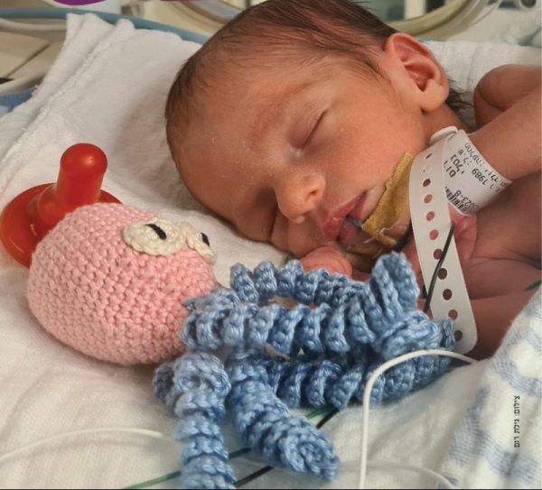 חיבוק באינקובטור: התמנונים שמרגיעים את הפגים הקטנטנים