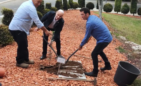 עם "ברכת הנוטע": מנכ"ל הכנסת נטע עץ נדיר | צפו