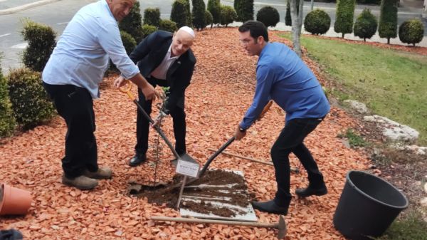 עם "ברכת הנוטע": מנכ"ל הכנסת נטע עץ נדיר | צפו