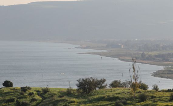 משרד הבריאות בודק חשד להימצאות טפיל במי הכנרת