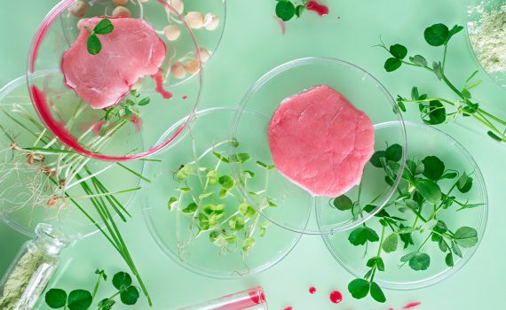 לראשונה: ה-FDA אישר מכירת בשר מתורבת