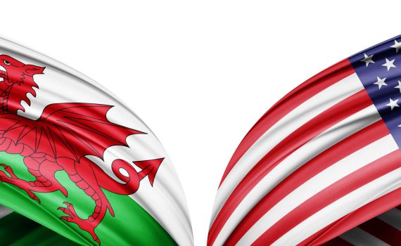 צפו: תקציר המשחק בין ארה"ב לווילס