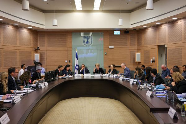 מתנגד אחד: יוקמו ארבע ועדות מיוחדות