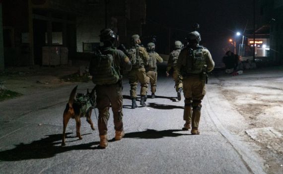 שובר גלים: הלילה נעצרו 15 מבוקשים באוגדת יו"ש