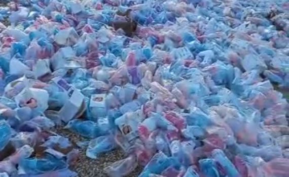 צפו: מוצרי תינוקות נסחפו ממכולה אל חופי אשקלון