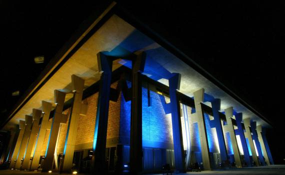 על מי פסקת ההתגברות נועדה להגן?