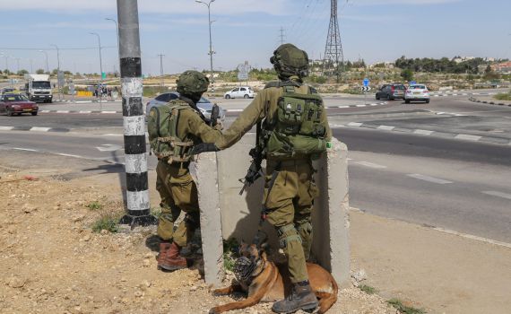 צוערים שהיו בניווט ירו למוות בכלב ליד ירכא