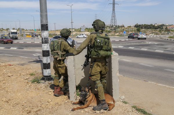 צוערים שהיו בניווט ירו למוות בכלב ליד ירכא