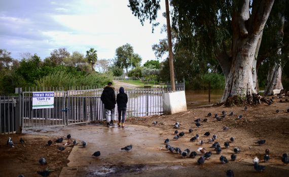 עגלת תינוק נפלה לאגם בפארק הירקון