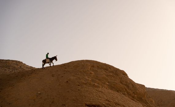 'שפת התהומות': סיפור ישראלי מרתק
