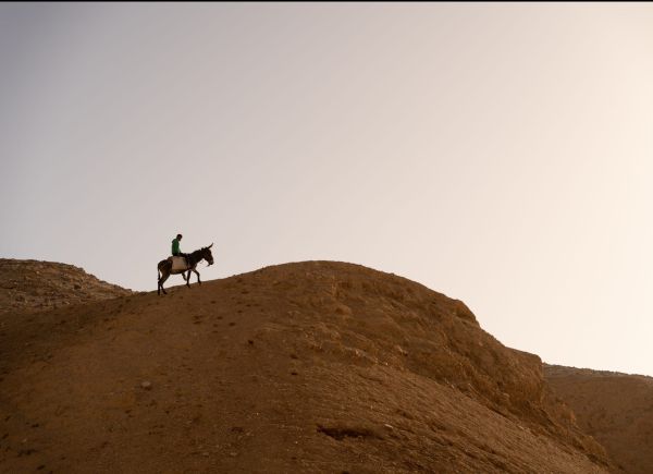 'שפת התהומות': סיפור ישראלי מרתק