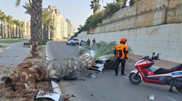 2 ילדים ואימם נפצעו מהתנגשות בעץ באשקלון