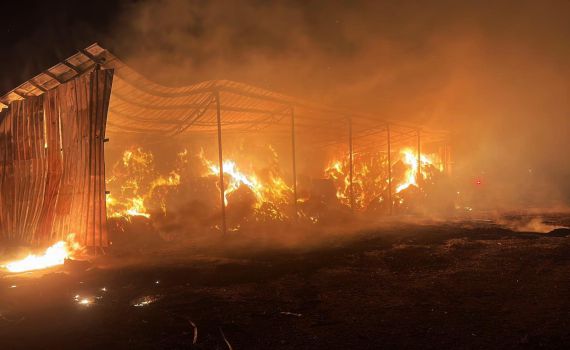 טרור חקלאי: שריפה קשה בעמק המעיינות