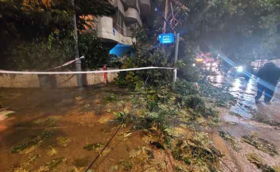 מנזקי הסערה: עץ קרס ופגע באדם בראשון לציון