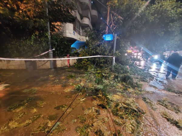מנזקי הסערה: עץ קרס ופגע באדם בראשון לציון