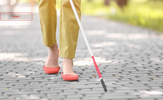 פלסטיני קיבל אישור עבודה ושדד ניצולת שואה עיוורת