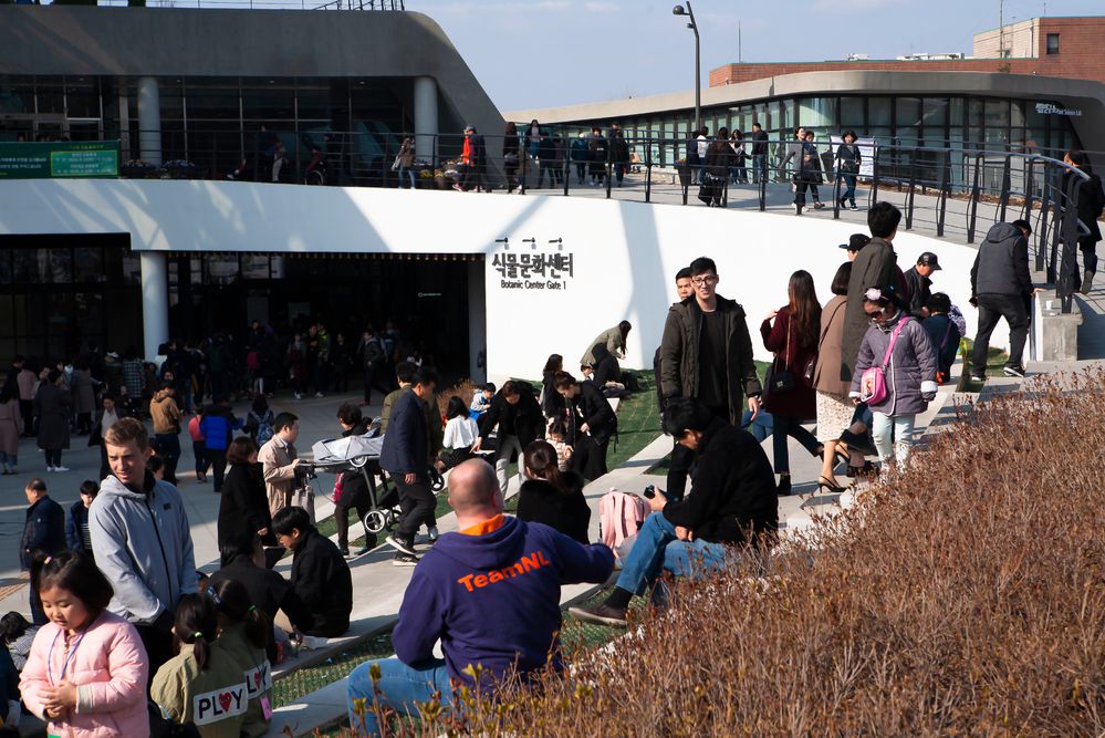 הסוף לבלבול: שיטת חישוב הגיל בדרום קוריאה תשונה