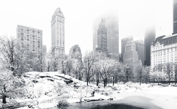 סופה קיצונית בארה"ב: 22 הרוגים, מיליונים ללא חשמל