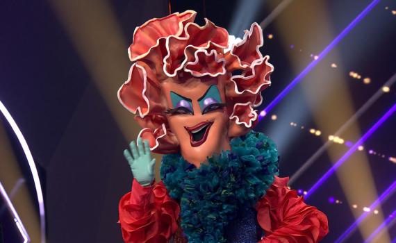 החשיפה החמישית בזמר במסכה: האלמוג – זמר סרוג