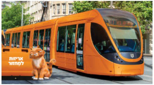 כתום עולה: תכירו את הפחים החדשים בירושלים