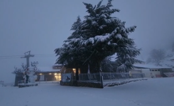הסערה כבר פה: שלג, גשם ורוחות חזקות. צפו בתיעוד
