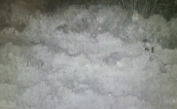 עם נשק ביד: תיעוד המחבל שניסה לחדור לקדומים