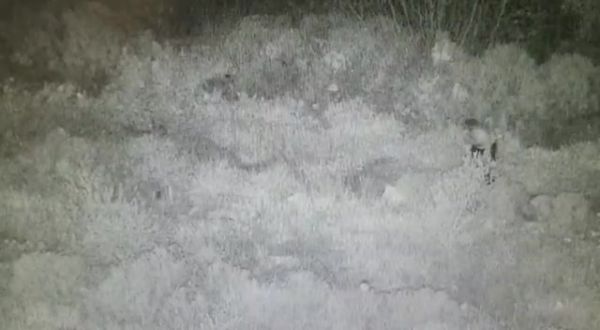 עם נשק ביד: תיעוד המחבל שניסה לחדור לקדומים