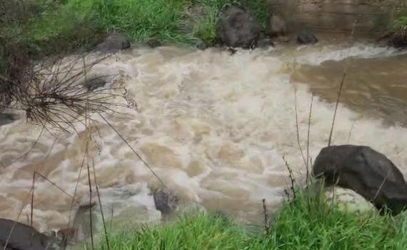 הסערה בעיצומה | זרימות אדירות בנחלי הצפון. צפו