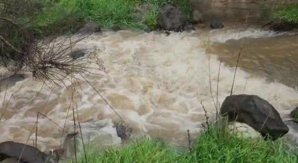 הסערה בעיצומה | זרימות אדירות בנחלי הצפון. צפו