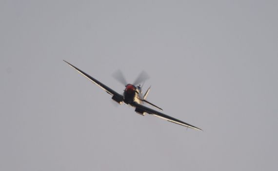 היום בהיסטוריה: תעלומת המטוס שנפל מול עזה