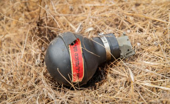 רמלה: 2 תלמידים הביאו רימון לבית הספר ונעצרו