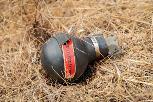 רמלה: 2 תלמידים הביאו רימון לבית הספר ונעצרו