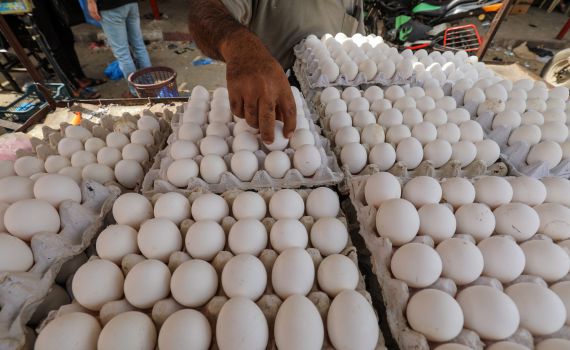 למנוע מחסור: מכסת יבוא הביצים תגדל ל-50 מיליון