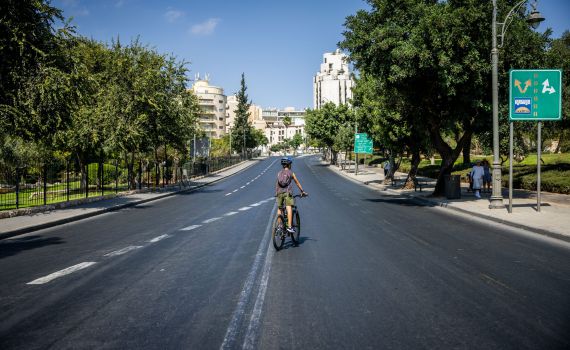 בית המשפט הרשיע נהג שדרס ילד ביום כיפור