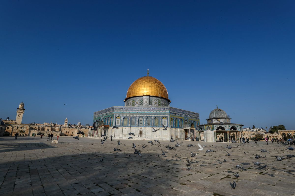 "חוזרים להר": פרס כספי למי שייעצר עם גדי או טלה