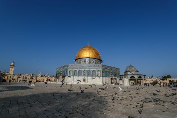 "חוזרים להר": פרס כספי למי שייעצר עם גדי או טלה