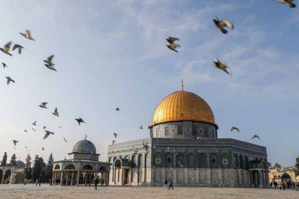 מתפרעים נעצרו בהר הבית לאחר שהתעמתו עם יהודים