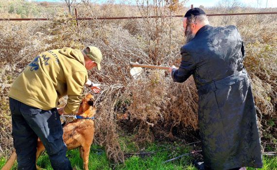 צפו | בעזרת יחידת הכלבנים: נעצרו ארבעה חשודים בהחזקת אמל"ח