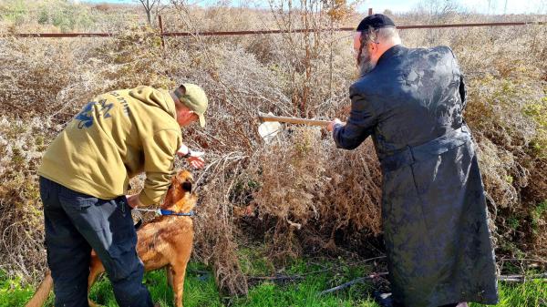 צפו | בעזרת יחידת הכלבנים: נעצרו ארבעה חשודים בהחזקת אמל"ח