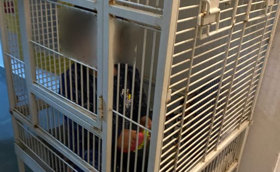 מחריד: בן שנה נמצא בביתו נעול בתוך כלוב | תיעוד